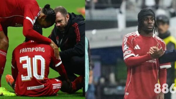 揭秘网沙巴体育平台：行内人不外传的操作技巧